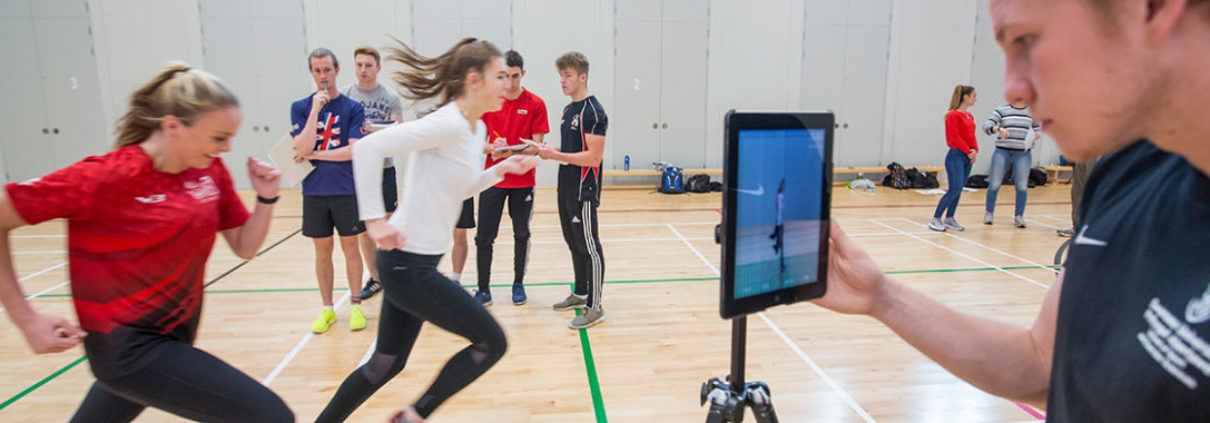 undergraduate courses swansea university